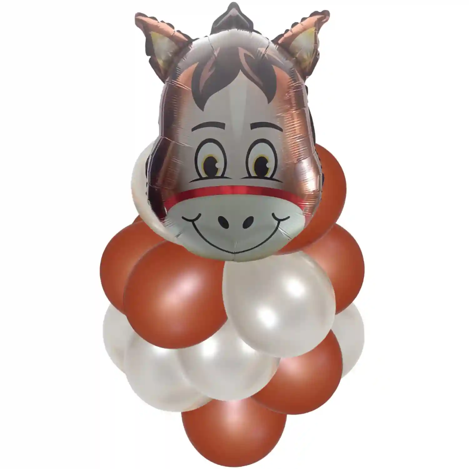 bouquet de globos burro 